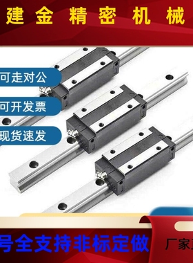 SSEBZ SS/E2BZ SELZ SSEJPG2BLZ-(MX)6/8/10/1B316/20微型直线导S