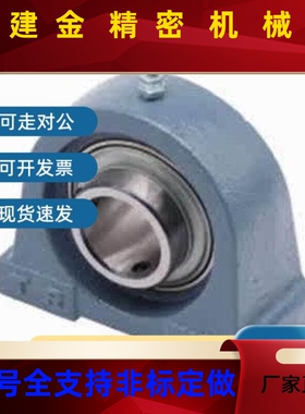 替PDR上隆BRTJ带SWZ座承BTA BRTC12 15 17 20  2轴5 R30 35 40 45