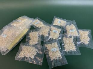 印尼进口燕角溯源角肉条正品燕窝孕妇滋补品足干金丝燕盏燕碎100g