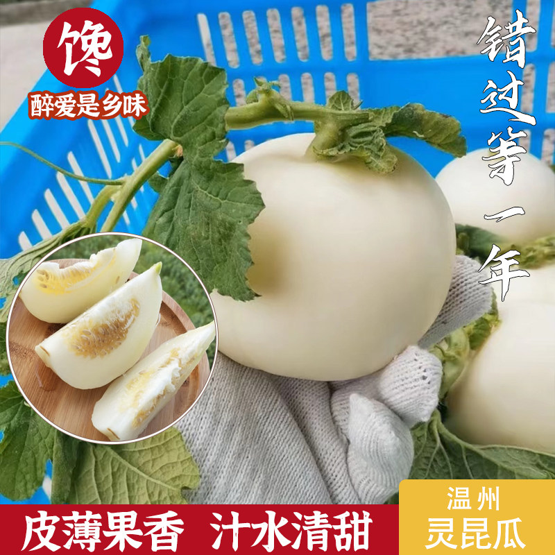 温州灵昆头茬小蜜蜂甜瓜新鲜采摘香甜脆爽当季水果香瓜4.5斤 顺丰