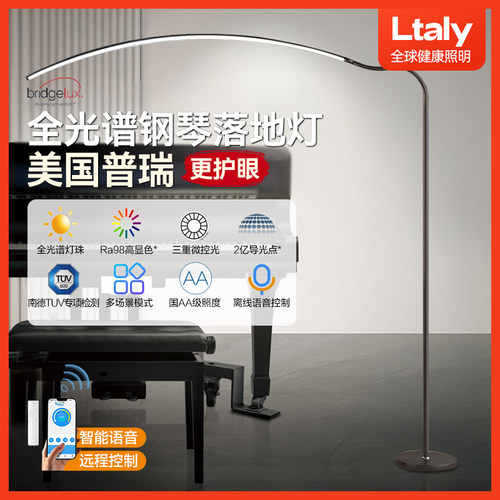 ltaly专业钢琴灯练琴专用护眼落地美甲纹绣台灯床头书桌客厅阅读