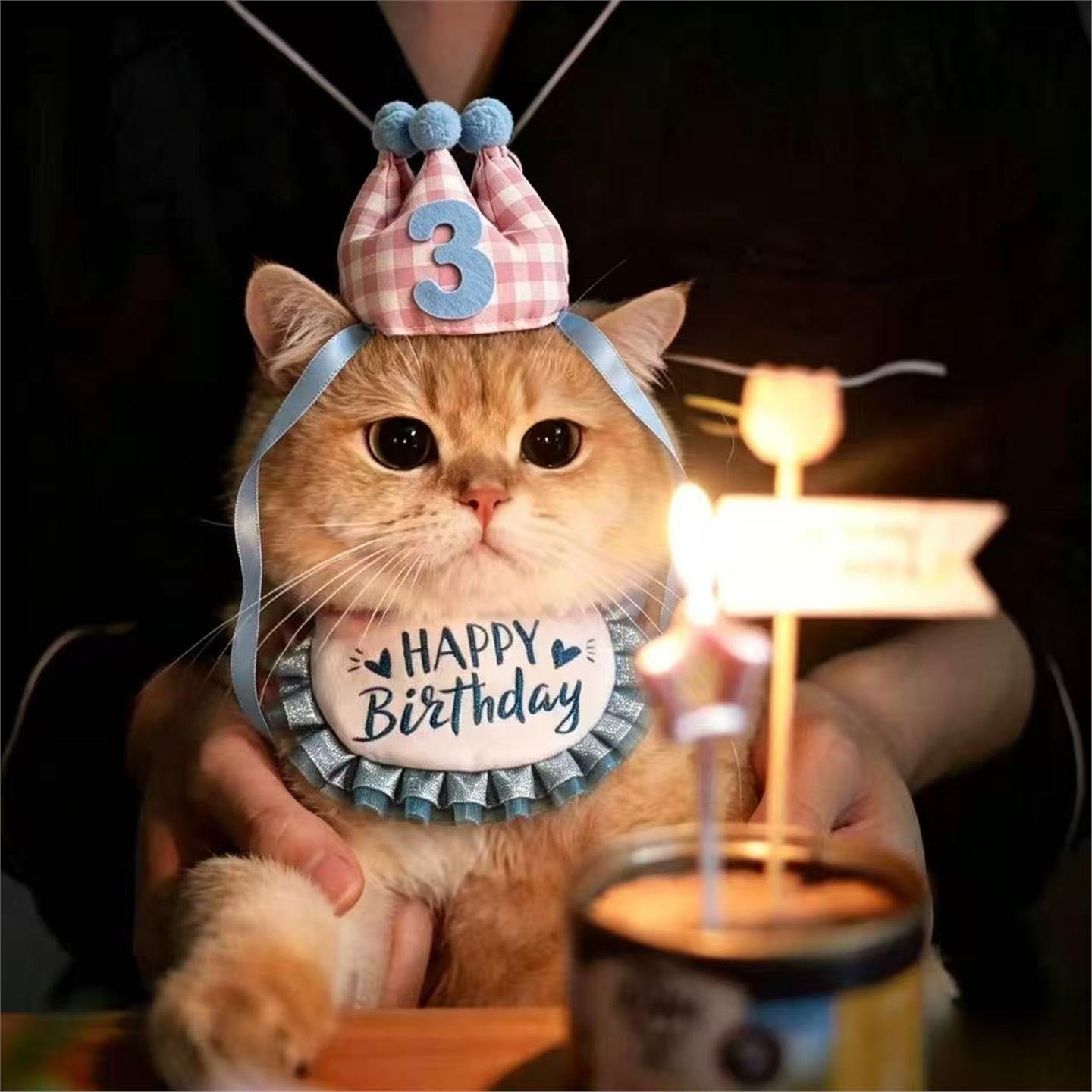 猫咪生日帽子头饰泰迪柯基小狗可爱头套装饰宠物生日装扮拍照道具