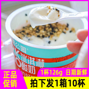 尼诺公园冰淇淋酸奶126g*10杯酸奶与果仁碎黑芝麻的组合零食酸奶