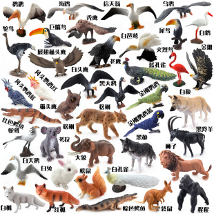 霸王龙三角龙狮子大象白兔蝴蝶甲壳虫大白鲨恐龙动物昆虫海洋鸟类