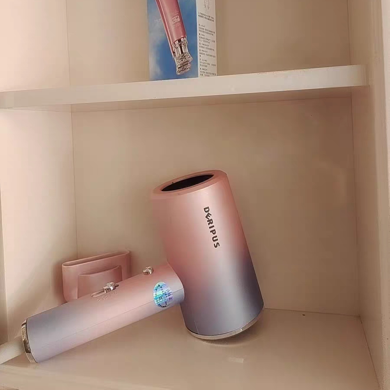 戴利普宿舍用学生吹风机家用吹风筒负离子护发新款小功率女生小型