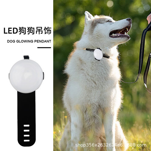 亚马逊爆款LED发光宠物吊坠项链猫狗户外闪光硅胶表带式项圈现