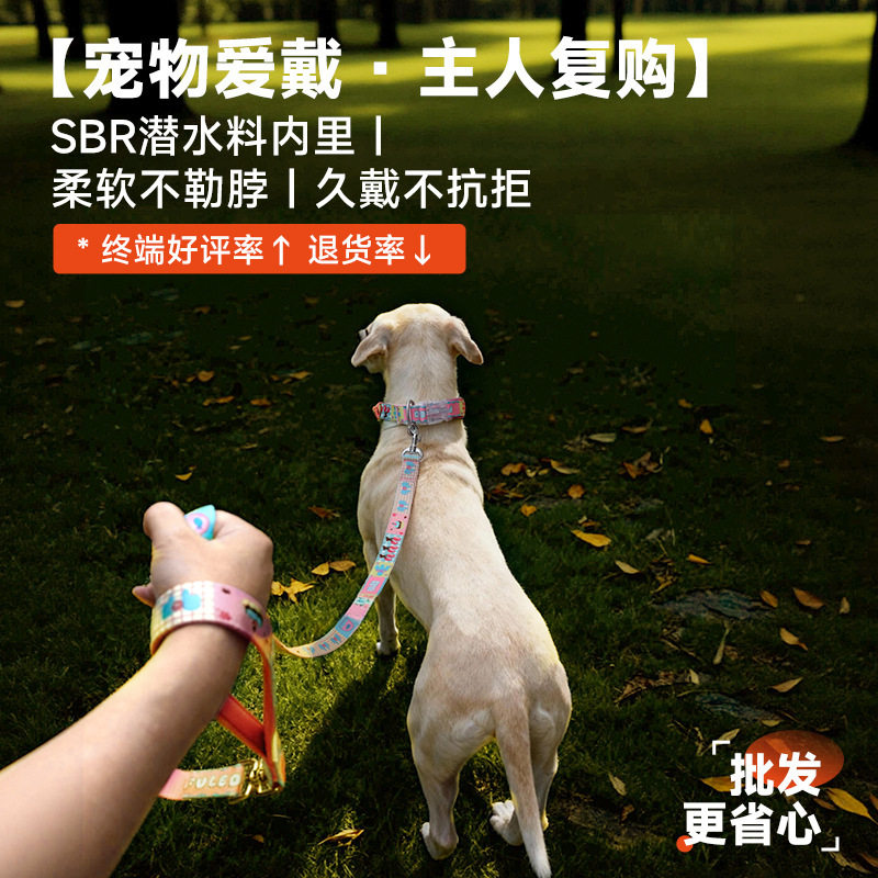 现货批发圈宠物项圈脖圈狗链宠物用品子宠物狗现货遛狗绳脖套颈圈
