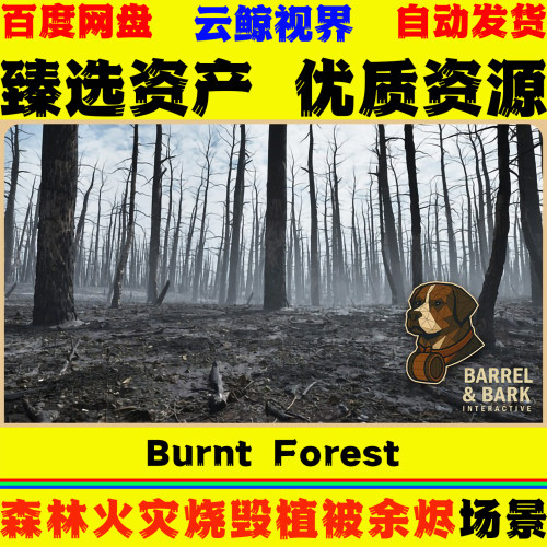 UE5.6+ Burnt Forest Aftermath Environment 森林火灾余烬场景
