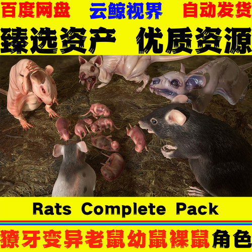 UE5虚幻4角色 Rats Complete Pack 变异老鼠幼鼠裸鼠动物动画模型