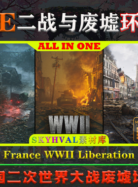 UE5虚幻5环境 France WWII Liberation World War 2 WW2 二战场景