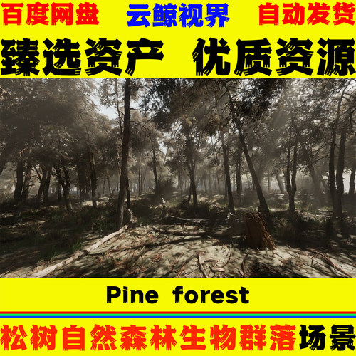 UE5.0+虚幻5环境 Pine forest 松树自然写实森林草地生物群落场景