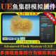 UE4.26 V1.3.8鱼集群模拟系统 System 5.7虚幻插件Advanced Flock