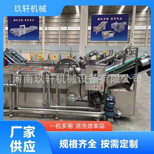 大白菜韭菜山野菜高压喷淋洗菜机 厂家定制苹果西红柿气泡清洗机