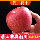 正宗洛川红富士苹果孕妇新鲜水果脆甜多汁10斤装 源头直供