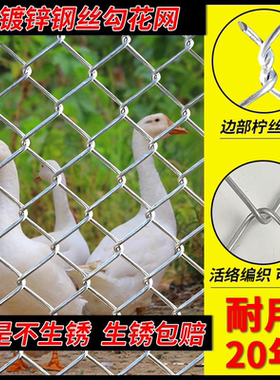 镀锌铁丝网围栏防护铁网格网养殖网钢丝网家用养鸡菜地隔离护栏网