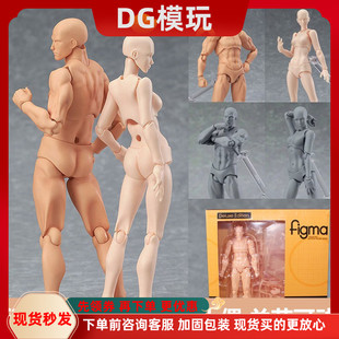 素体 人体手办模型 美术漫画绘画参考 人物人偶工具摆件 关节可动