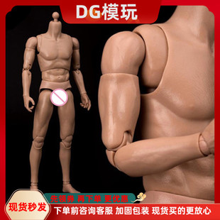 现货 WorldBox AT011 1/6兵人模型 2017 窄肩回馈版 耐操素体