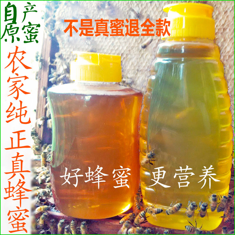 菊花蜂蜜蜂蜜成熟农户自产自销野生荆条五倍子野菊花百花蜜正宗农