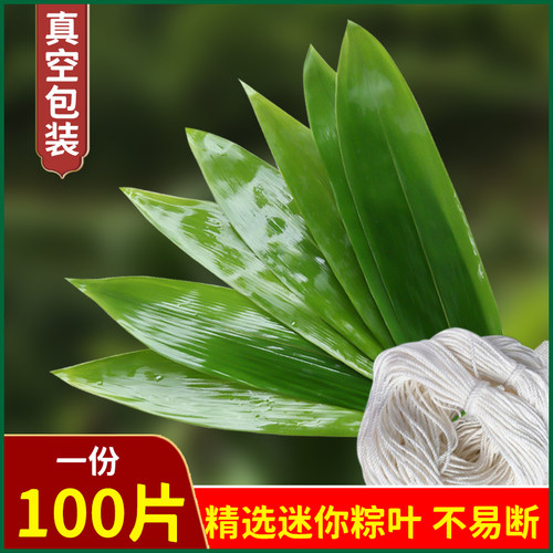 粽子叶新鲜大号100片迷你野生