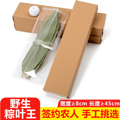粽叶干大新鲜2斤端午节新叶