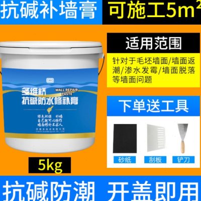 补墙膏防水防潮防霉抗返碱墙面修补内墙壁反碱白色家用修复剂腻子