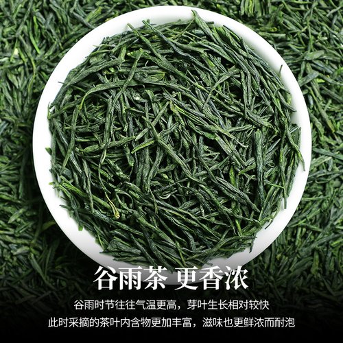 新品陈一凡 毛尖茶绿茶新茶春茶雨前一级茶叶浓香型嫩芽散装
