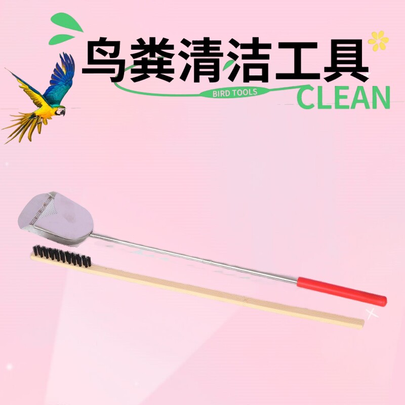 百灵笼鸟粪铲清理百灵鸟屎鸟粪铲拔节不锈钢粪铲鸟粪铲子