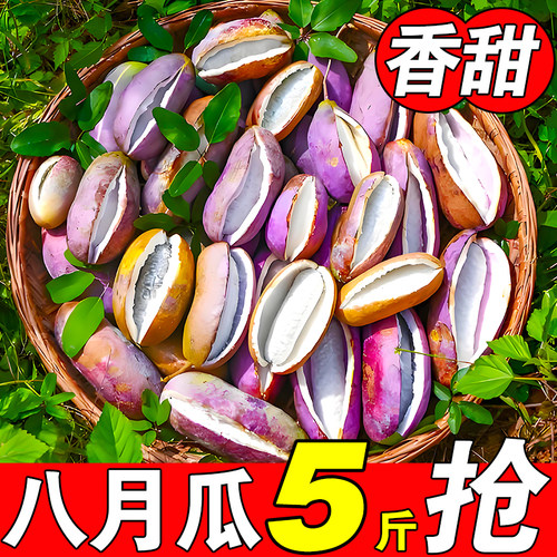 新鲜八月瓜应季水果拿麻藤包牛卵坨木通果九月黄特产香甜糯八月炸