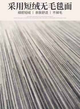 地毯全铺极简奶油风吸水防滑水晶绒客厅茶几毯家用隔凉保暖沙发毯