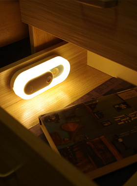 开关人体感应小夜灯家用光感充电耐思小夜灯卧室床头橱柜灯跨境