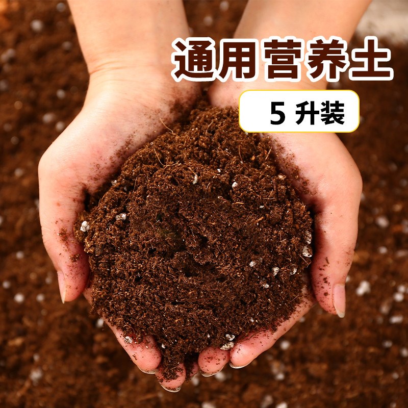 营养土养花专用通用型多肉花土种花种菜家用有机土壤种植花泥进口