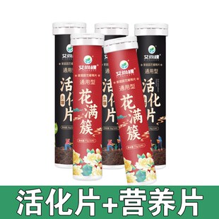 土壤活化剂黑水肥料花卉植物土地板结松土片剂花肥养花通用松土精