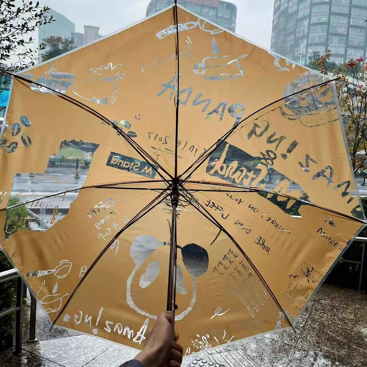特价 大牌周边熊猫联名款半透明雨伞