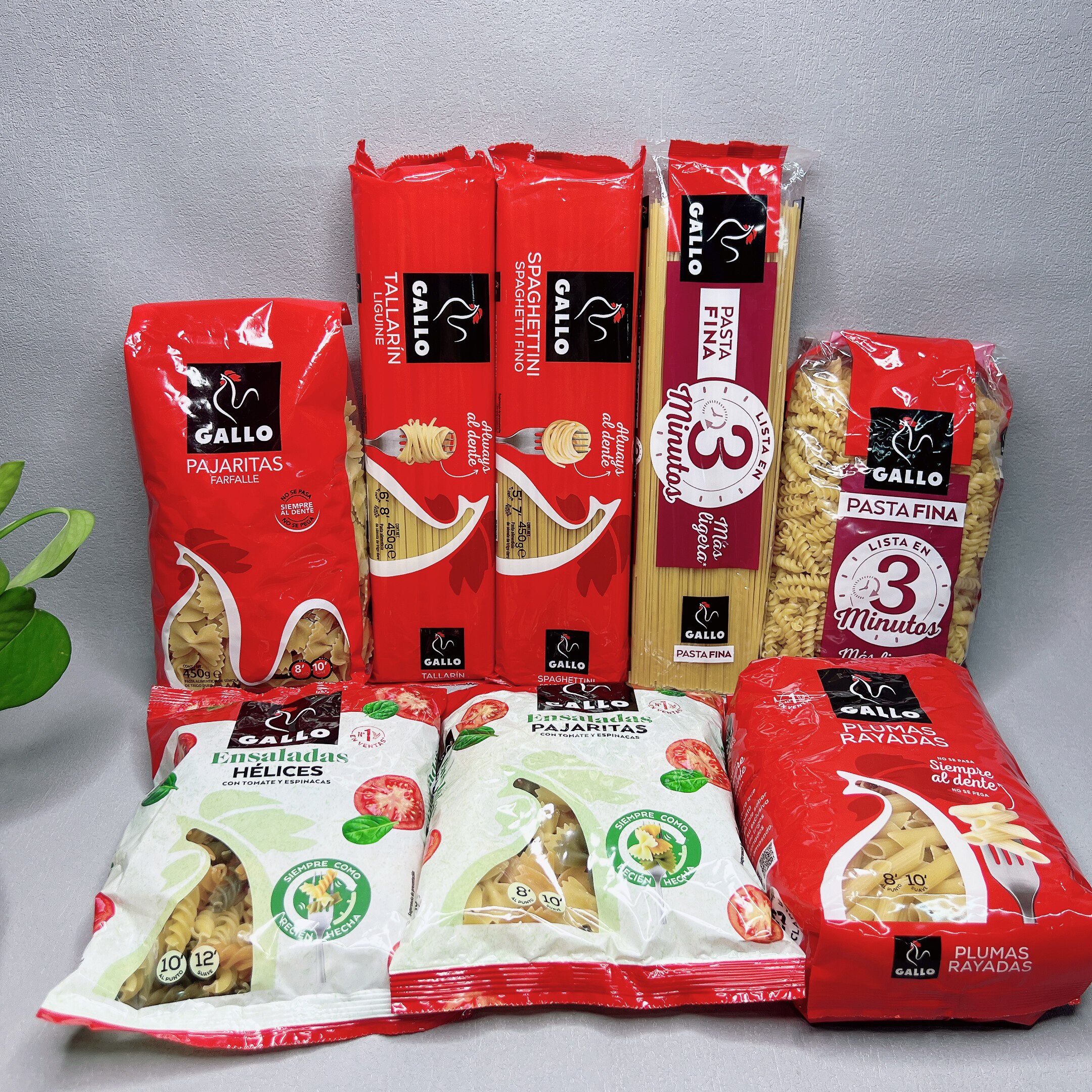特价 扁身形蝴蝶形两头尖直条形意大利面家用商用西餐意粉意面