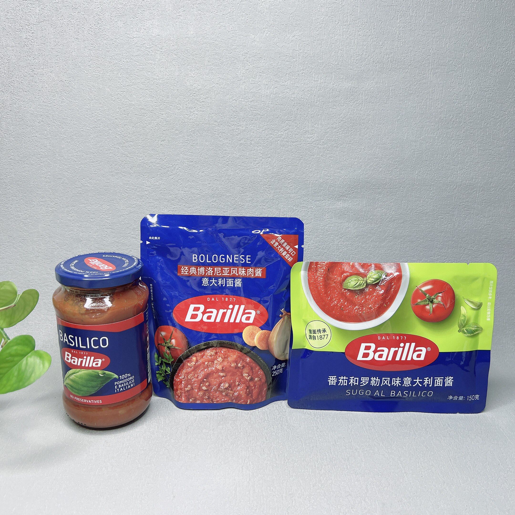 特价 经典博洛尼亚风味肉酱罗勒风味番茄意面调味酱披萨酱西餐