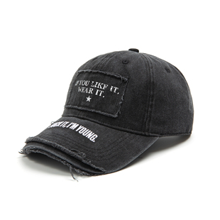 FARSTA 25ss水洗灰做旧刺绣图案贴布2.0标语百搭鸭舌帽