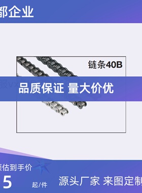 链 条/CHE40-400 /CHEH40-U CHEM40 CHES40  SP40B20-N-20 BSP40B