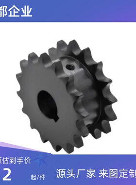 链轮链条 SP50SD12/13/14/15-N-18/20/25/28/30/35  材质发黑处理