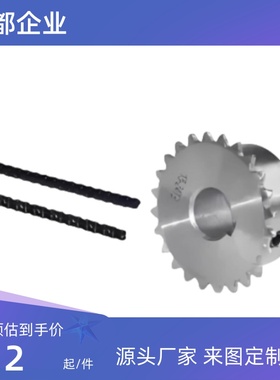 链轮 链条 SP15B24/26/28/30/33/35-P-10/12/15/16/ 材质发黑处理