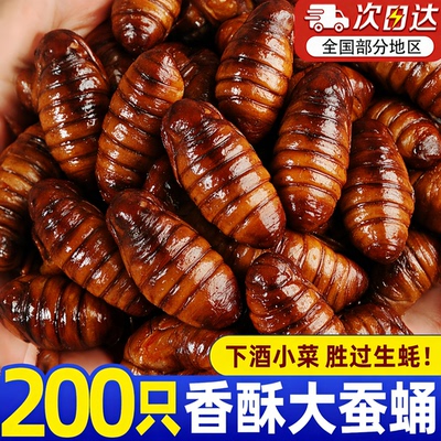 山东香酥大蚕蛹开袋即食正宗香酥
