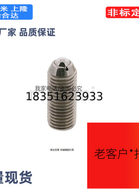 BMSL3/4/5/6/8/10/12/16球头柱塞 不锈钢加长型