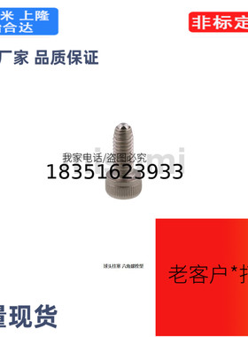 BPHH4/BPHH5/BPHH6/BPHH8/BPHH10/BPHH12/BPHH16球头柱塞 六角螺