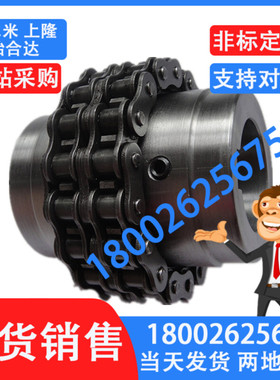 滚子链链条式联轴器替CPC3012/4012/4016/4016/5014/5016/5018