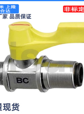 替米思米101c-BBPC82 BBPC83 BBPC102 W Y BL小型B球阀61/62/103