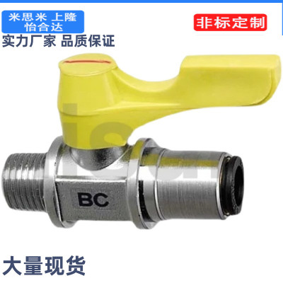 替米思米101c-BBPC82 BBPC83 BBPC102 W Y BL小型B球阀61/62/103
