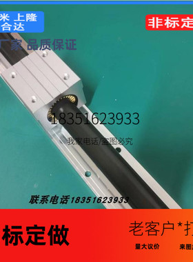 替代D25直线D16导轨LSGSB/LSGS2B 16/20/25/30/35滑台LMZ01/05/06