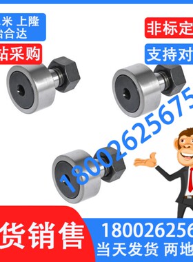 BPF01/02 BPC21/22-d10A-d12A-d20A-d24A-d30A-PP 凸轮轴承随动器