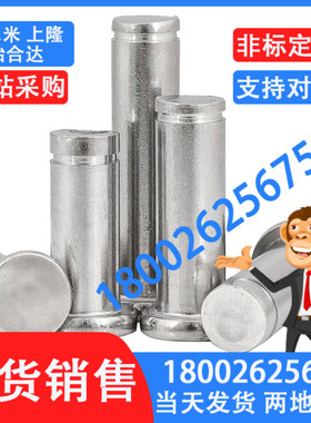 替换米思米铰链销HCDG3-30 HCDG4-10 HCDG4-12 HCDG4-14 HCDG4-15