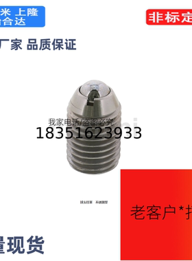 BSZF2/3/4/5/6/8/10/12/16球头柱塞　不锈钢型