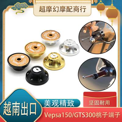 vespa改装春天冲刺150手把堵桃子